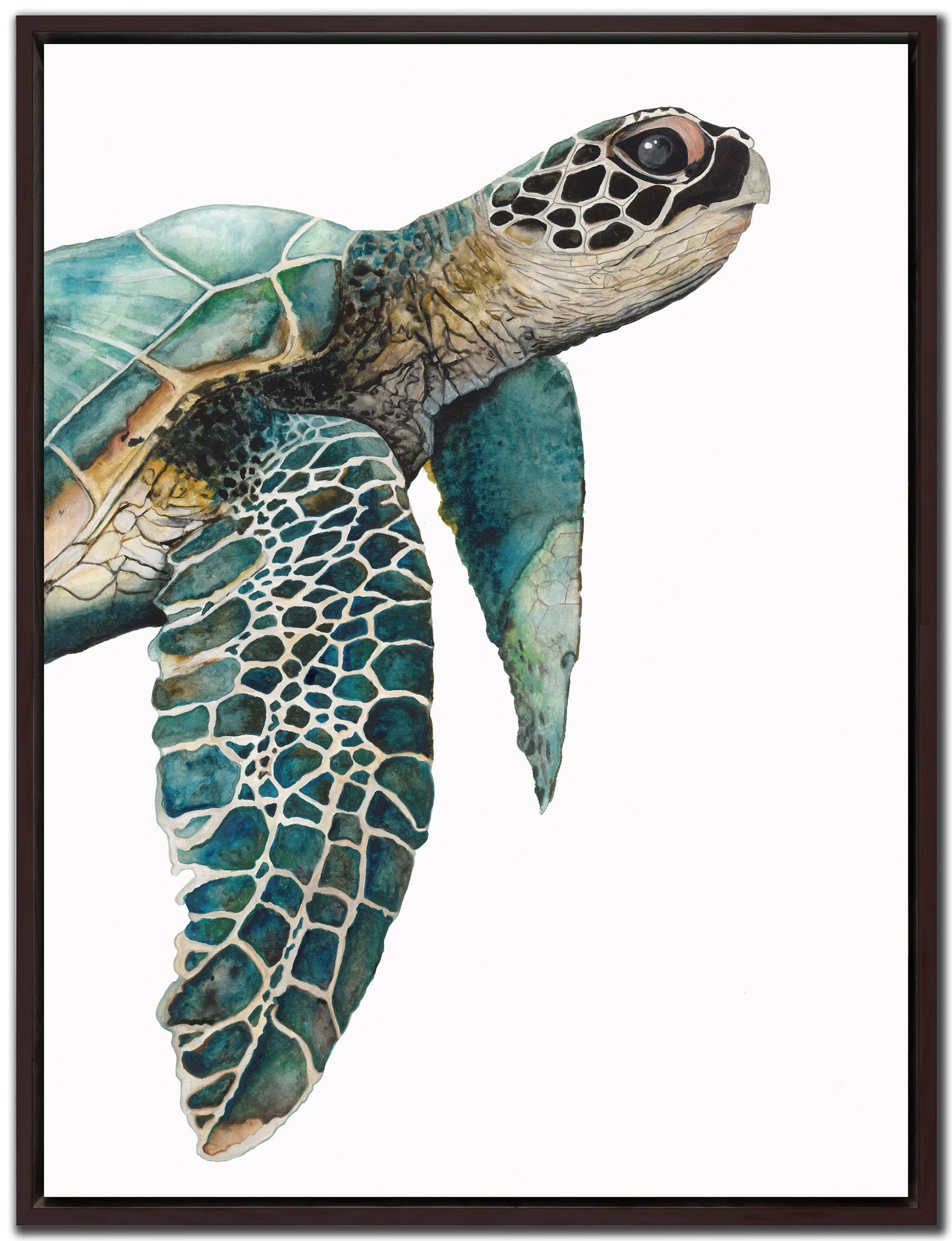 AFE018 - GREAT SEA TURTLE