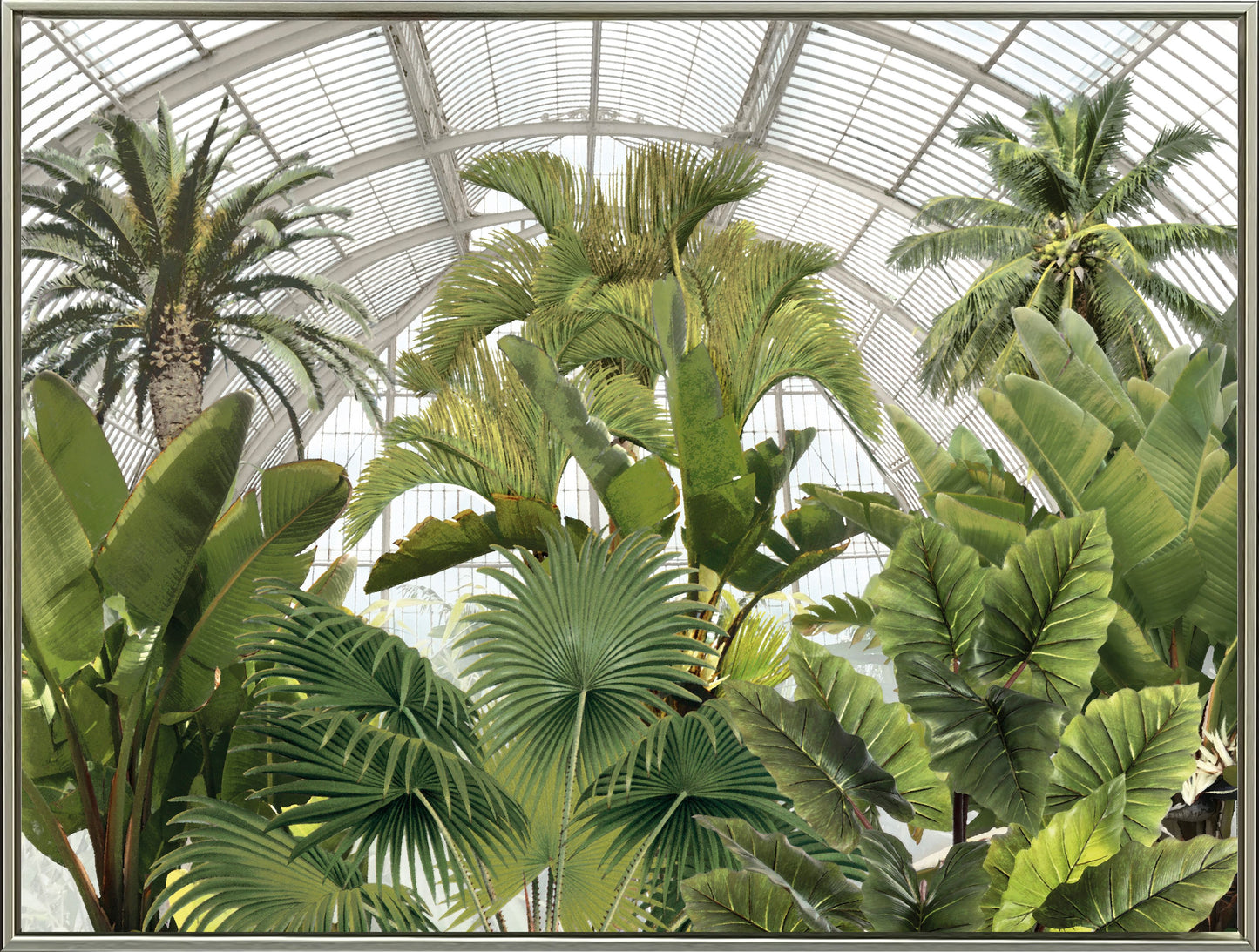 AFE46222 - CONSERVATORY CONTEMPLATION