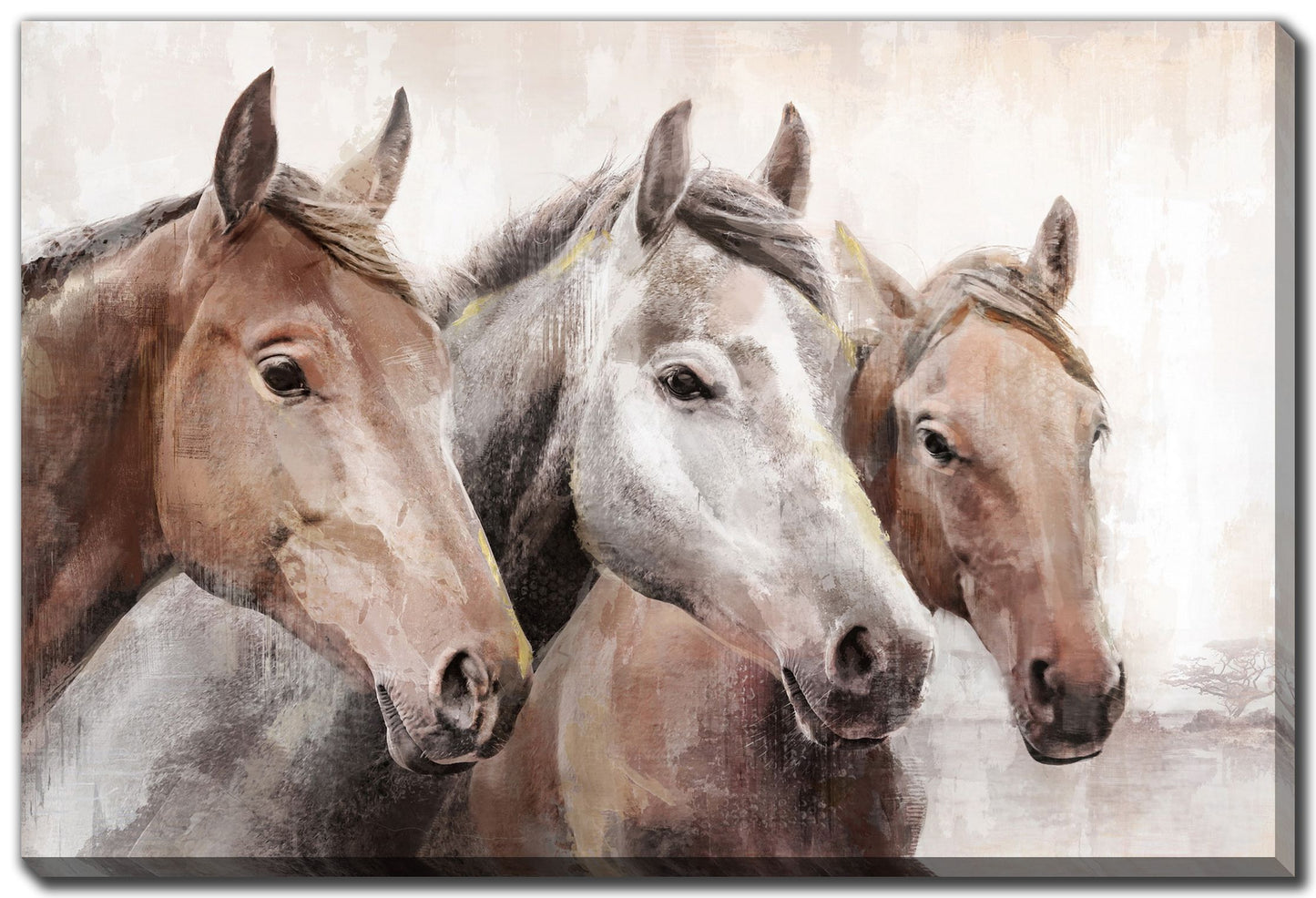 AFF34222 - STALLION TRIO