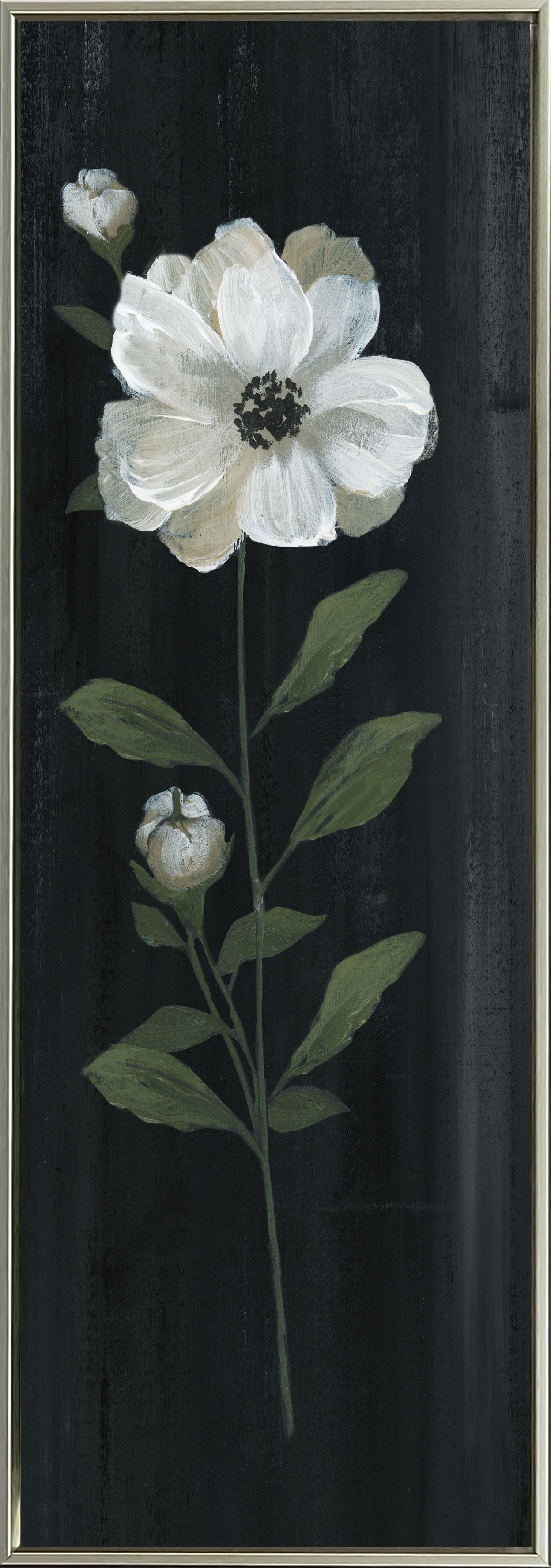 AFF46560 - WHITE COUNTRY BOTANICAL I/II