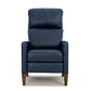 Janae Reclining Chair