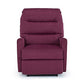 Davida Lift Reclining Chair