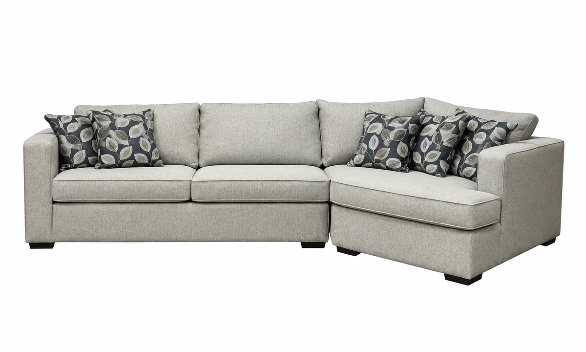 2900 - 2 Piece Sectional