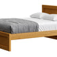 Panel Bed 37"Headboard & 16" Footboard