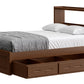 Bookcase Bed With Trundle/ Drawer