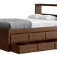 Captain’s Bookcase Bed With Double Trundle/ Drawer