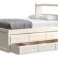 Captain’s Bookcase Bed With Double Trundle/ Drawer