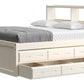 Captain’s Bookcase Bed With Double Trundle/ Drawer