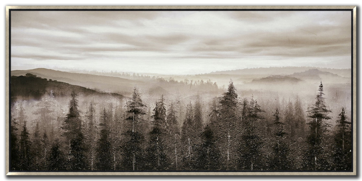 CHY2330 - FOGGY MOUNTAIN PINES