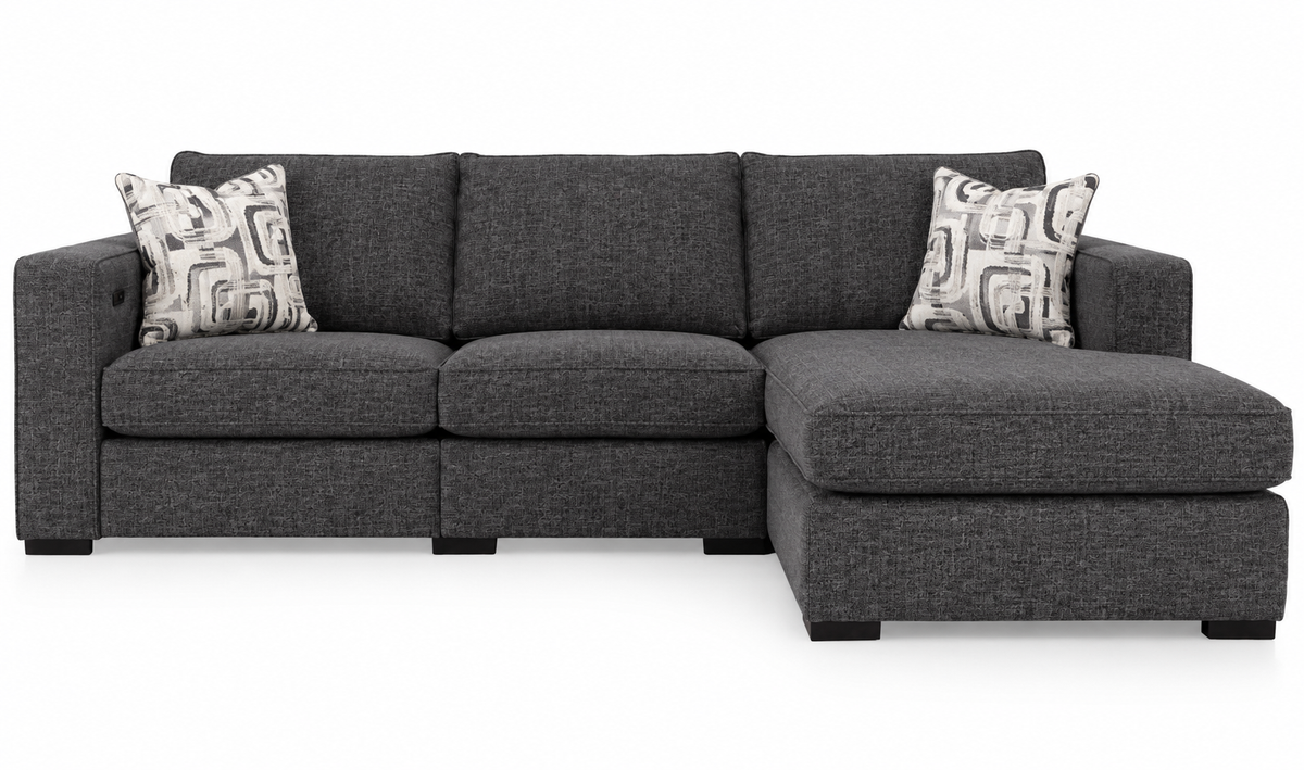 2900 - 2 Piece Sectional