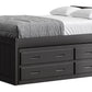 Captain’s Bed 39"HB & 26"FB With Double Trundle/ Drawer