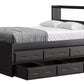 Captain’s Bookcase Bed With Double Trundle/ Drawer