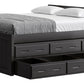 Captain’s Bed 39"HB & 26"FB With Double Trundle/ Drawer