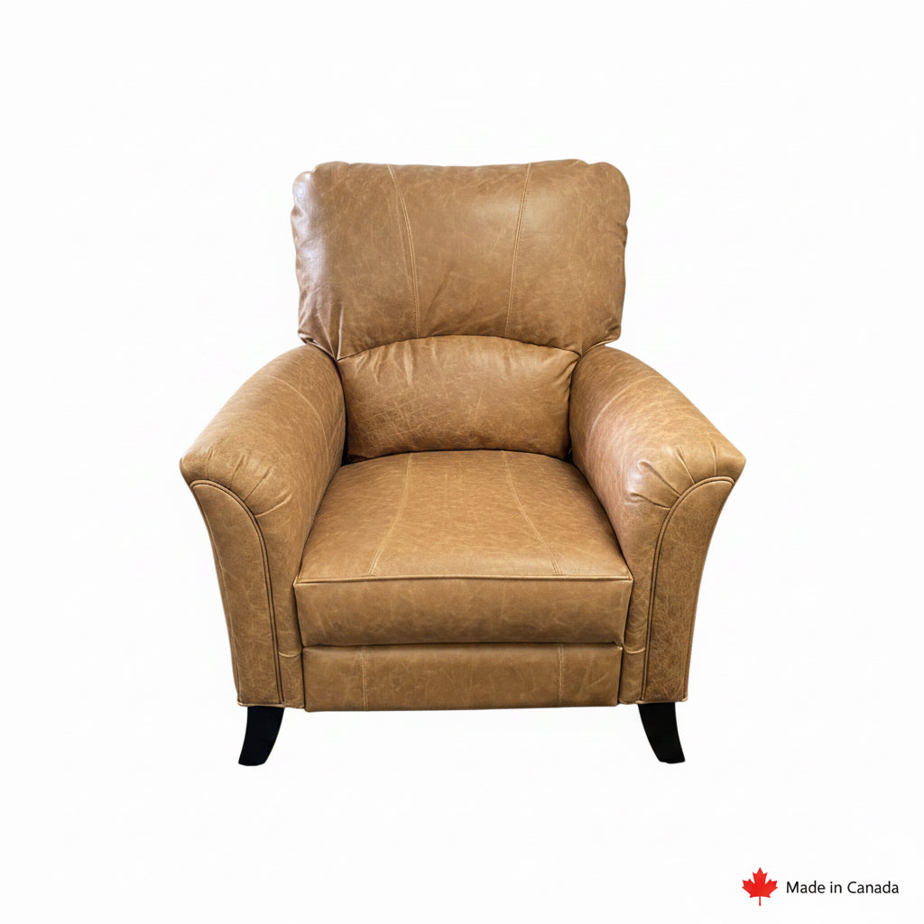 2450 Push Back Recliner