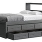 Captain’s Bookcase Bed With Double Trundle/ Drawer