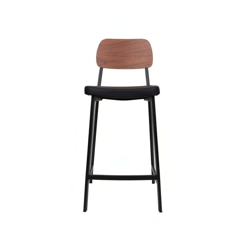 Theo Stool - CS 667