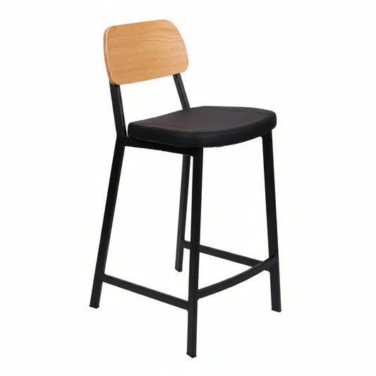 Theo Stool - CS 667