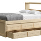 Captain’s Bookcase Bed With Double Trundle/ Drawer