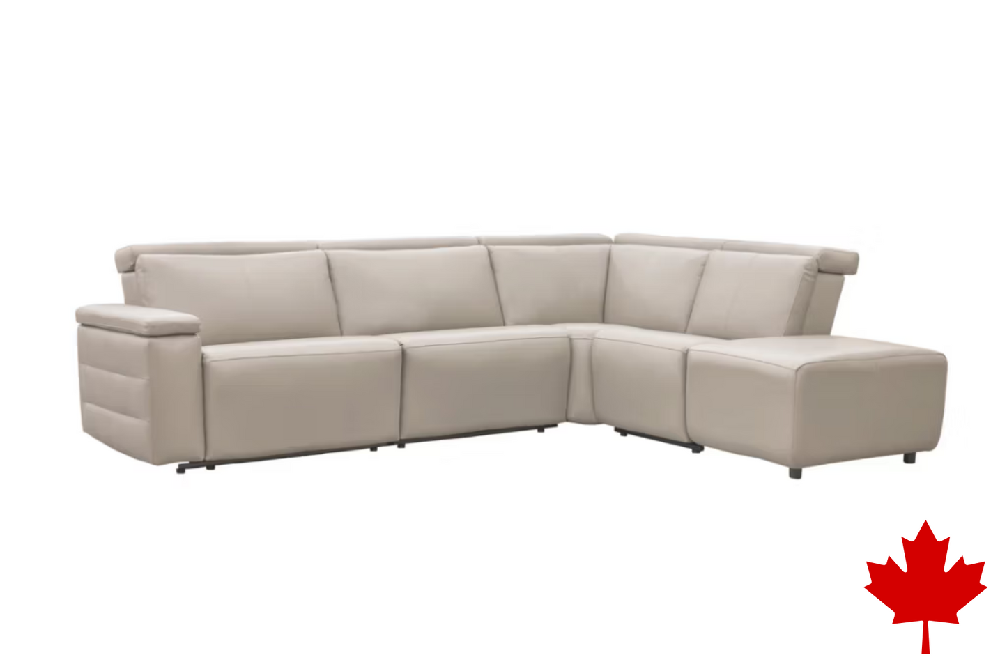 3003 Nala Sectional