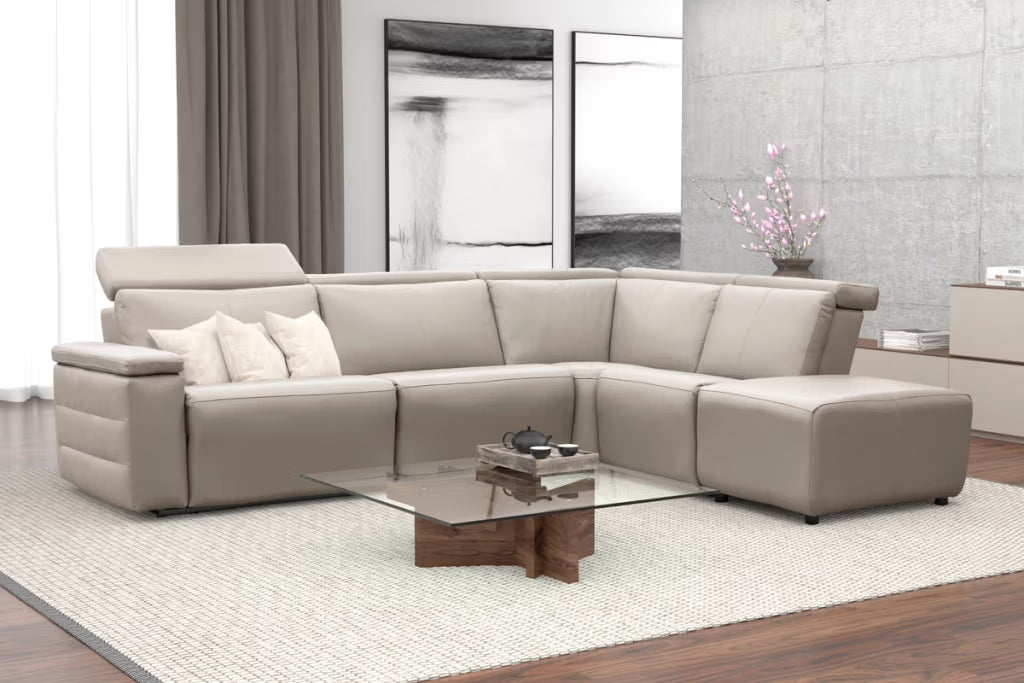 3003 Nala Sectional
